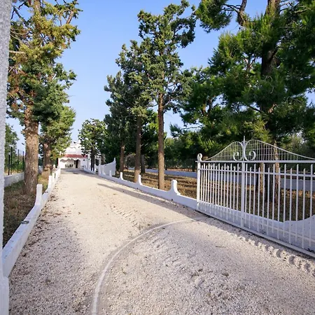 Villa Enzo Nel Cuore Della Campagna *