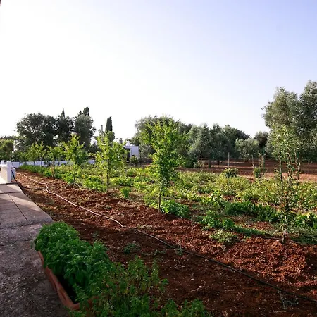Villa Enzo Nel Cuore Della Campagna *