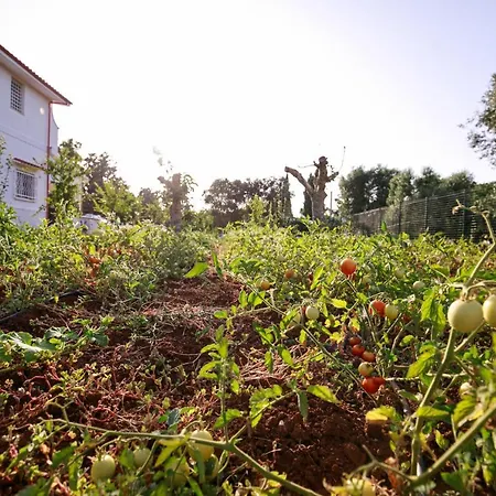Enzo Nel Cuore Della Campagna Villa Carovigno